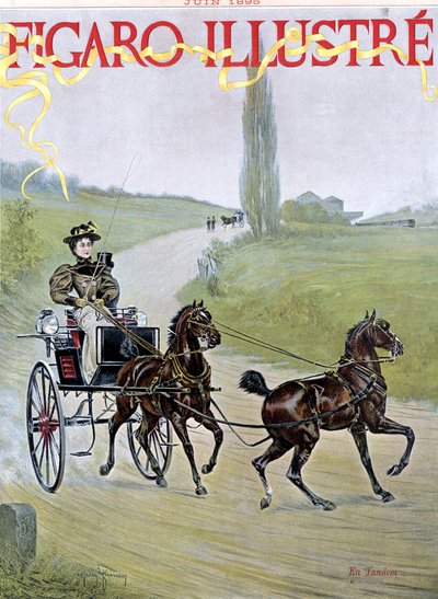 Donna che guida una carrozza da Harry Finney