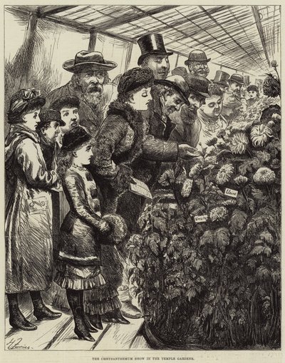 La mostra dei crisantemi nei Giardini del Tempio da Harry Furniss