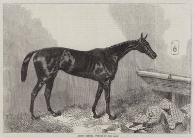Regina Bertha, vincitrice delle Oaks da Harry Hall