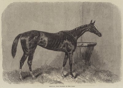 Regalia, il vincitore delle Oaks da Harry Hall