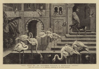 Gli animali domestici di un palazzo orientale, uno studio tunisino da Harry Hamilton Johnston