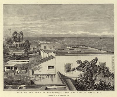 Veduta della Città di Mocambique dal Consolato Britannico da Harry Hamilton Johnston