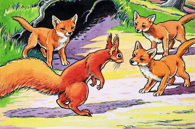 Piccolo scoiattolo rosso da Harry M. Pettit