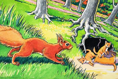 Piccolo scoiattolo rosso da Harry M. Pettit