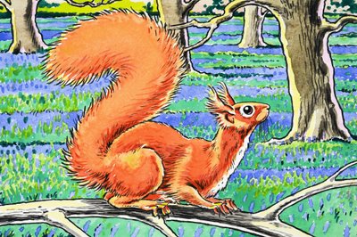 Piccolo scoiattolo rosso da Harry M. Pettit