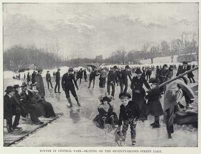 Inverno a Central Park, pattinaggio sul lago della 72ª strada da Harry M. Pettit