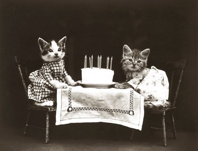 Serie dei gattini: Festa di compleanno, 1914 circa (stampa all