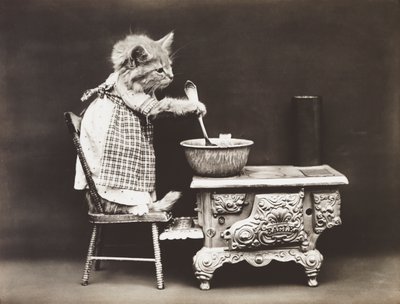 Serie dei gattini: Cuoco ai fornelli, 1914 circa (stampa all