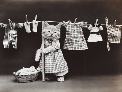 Serie dei gattini: Asciugare il bucato, 1914 circa (stampa all