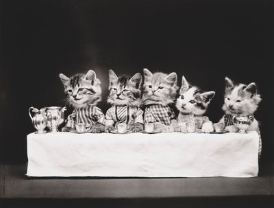 Serie dei gattini: Ultima cena, 1914 circa (stampa all
