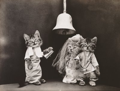 Serie dei gattini: Matrimonio, 1914 circa (stampa all