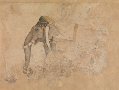 Elefante e Cavaliere, ca. 1640 da Hashim.