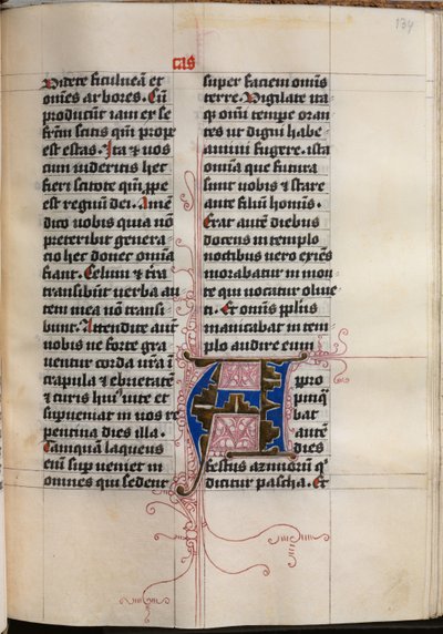 Libro dei Vangeli con Ritratti degli Evangelisti: Iniziale Decorata da Hausbuch Master