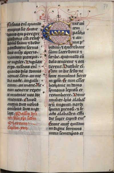 Libro dei Vangeli con Ritratti degli Evangelisti: Iniziale Decorata da Hausbuch Master