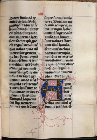 Libro dei Vangeli con Ritratti degli Evangelisti: Iniziale Decorata da Hausbuch Master