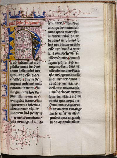 Libro dei Vangeli con ritratti degli evangelisti: iniziale decorata, c. 1480 da Hausbuch Master