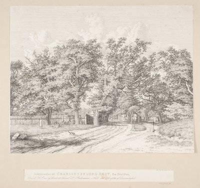 Ingresso alla foresta di Charlottenlund dal lato del lago da Heinrich Buntzen