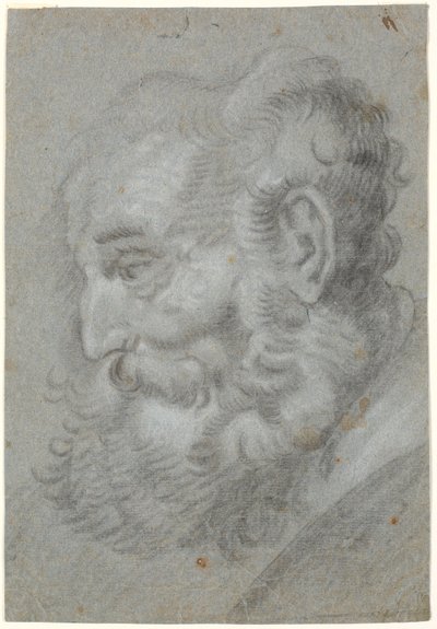 Testa di vecchio, profilo a sinistra da Heinrich Dittmers