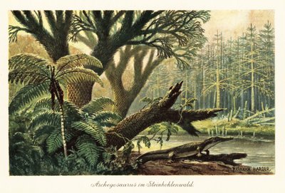 Archegosaurus decheni vicino a un fiume in una giungla primordiale da Heinrich Harder
