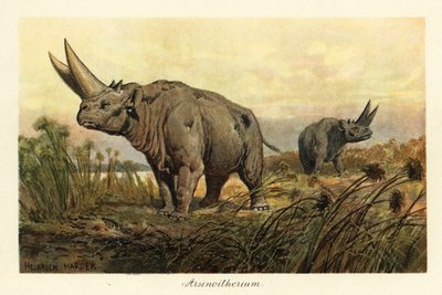 Arsinotherium, genere estinto di mammiferi paenungulati (stampa) da Heinrich Harder