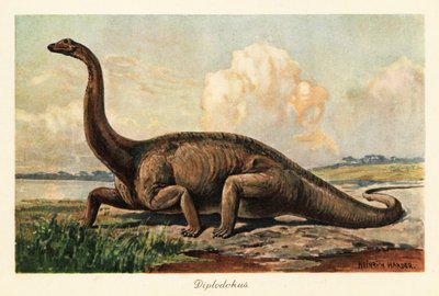 Diplodocus longus estinto nelle pianure da Heinrich Harder