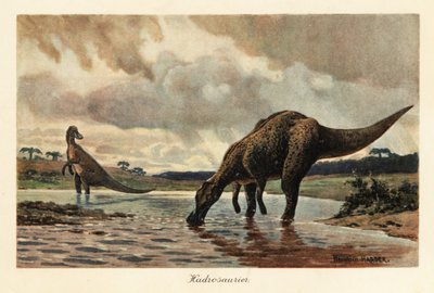 Hadrosauri o dinosauri a becco d