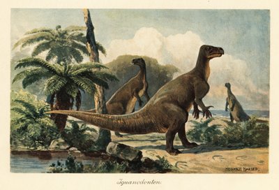 Iguanodon bernissartensis in una foresta di felci preistorica da Heinrich Harder