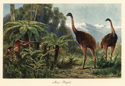 Uccelli Moa cacciati da uomini con archi e frecce da Heinrich Harder