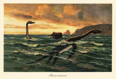 Plesiosaurus dolichodeirus nell