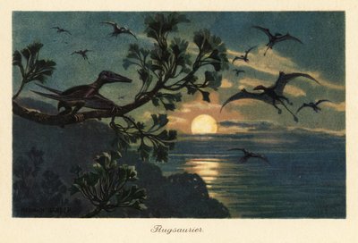 Rhamphorhynchus pterosauri che volano al chiaro di luna da Heinrich Harder