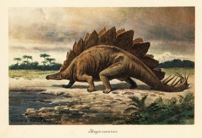 Stegosaurus armatus del Giurassico superiore da Heinrich Harder