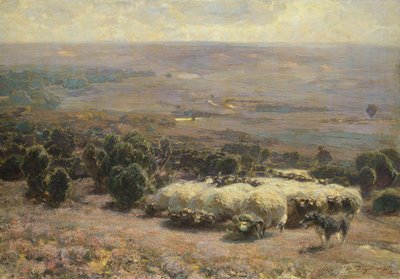 Un gregge di pecore nella Luneburger Heide, 1902 da Heinrich Johann von Zugel
