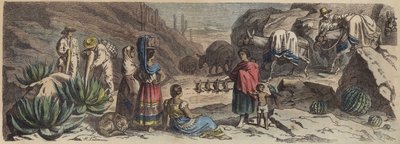 Una strada di montagna in Messico da Heinrich Leutemann