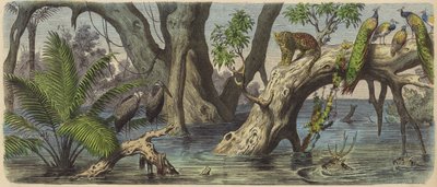 Inondazioni nell