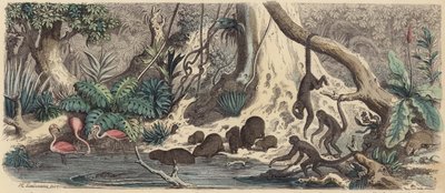 Riva del fiume in Guyana da Heinrich Leutemann