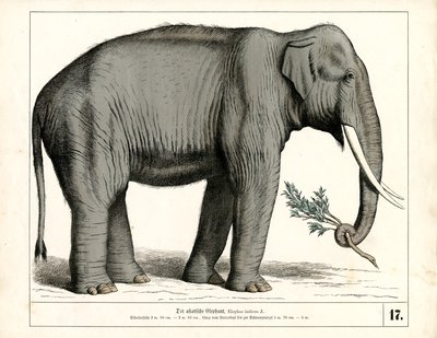  da Heinrich Leutemann