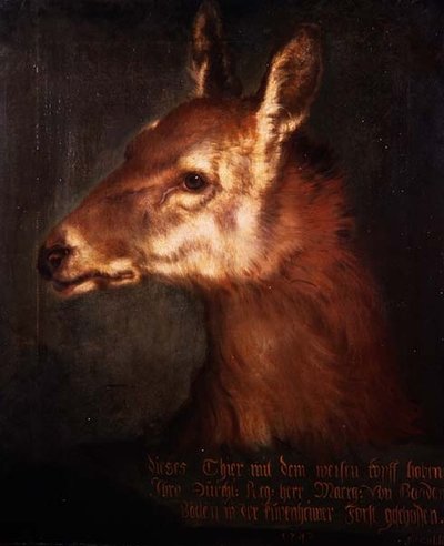 Testa di un capriolo da Heinrich Lihl