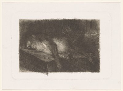 Scimmia sdraiata e dormiente da Heinrich M. Krabbé