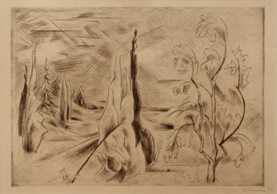 Grande paesaggio del parco da Heinrich Nauen