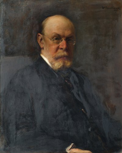 Il capo sezione Alfred Ritter von Bernd da Heinrich Rauchinger