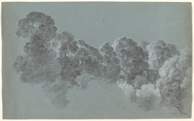 Cime degli Alberi della Foresta Colpite dalla Luce da Heinrich Rieter