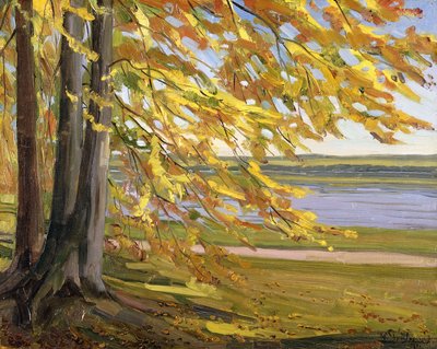 Lago di Starnberg, 1911 da Heinrich Wilhelm Truebner