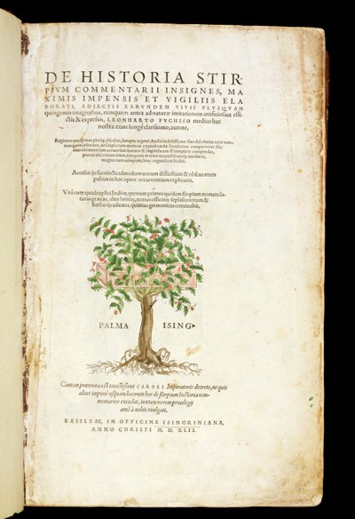 Pagina del titolo da 