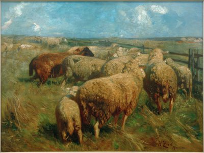 Gregge di pecore in piena estate da Heinrich von Zügel