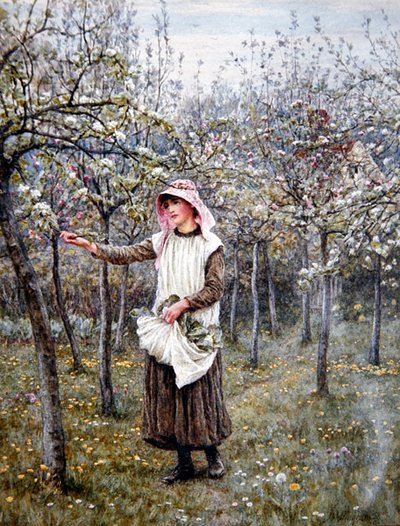 Tempo di fioritura da Helen Allingham