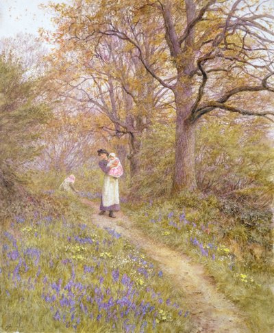 Campanule da Helen Allingham