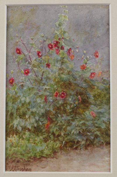 Bordo di fiori, Altea e Dalie da Helen Allingham
