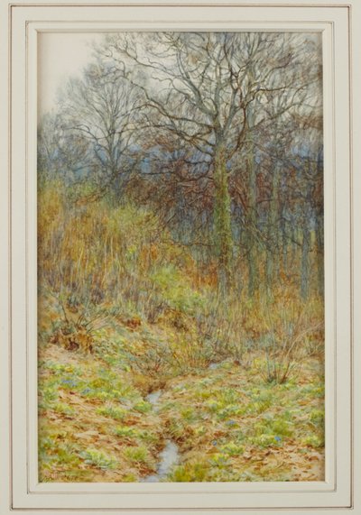 Il nostro bosco di primule da Helen Allingham