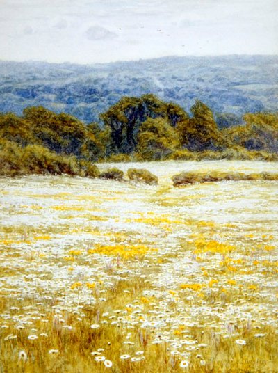 Margherite vicino a Westerham, Kent da Helen Allingham