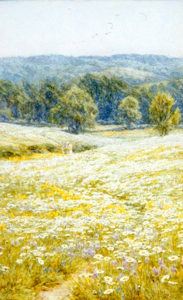 Margherite vicino a Westerham, Kent da Helen Allingham